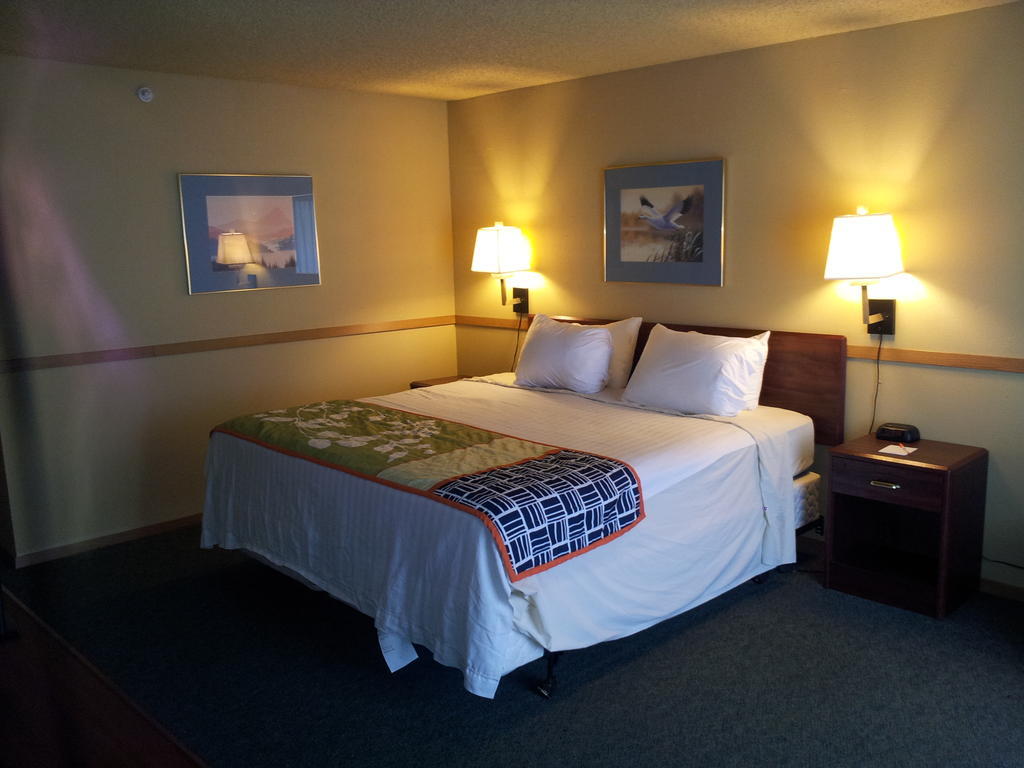 South Tacoma Suites Rum bild